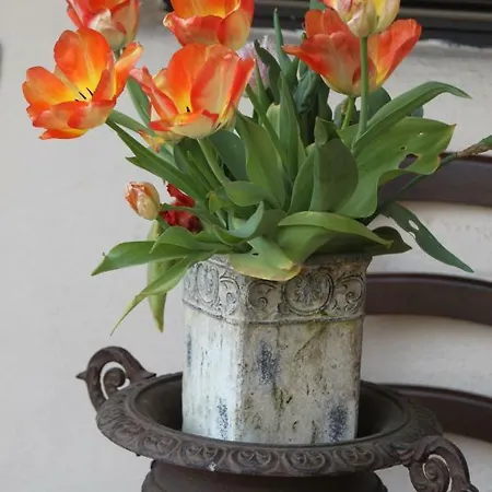 Hazienda - Für Ein Paar Tage Oder Monatelang Apartahotel 4*